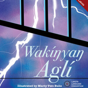Wakíŋyaŋ Aglí - The Thunderbeings