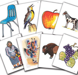 Lakȟótiya Wóglaka Po! - Speak Lakota! Level 1 Flashcard Set